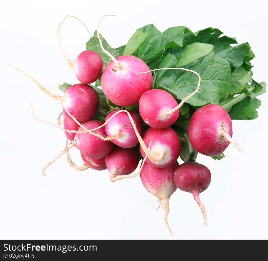 Bunch of radishes