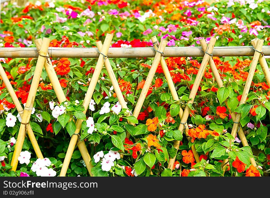 Flower-Garden Bed