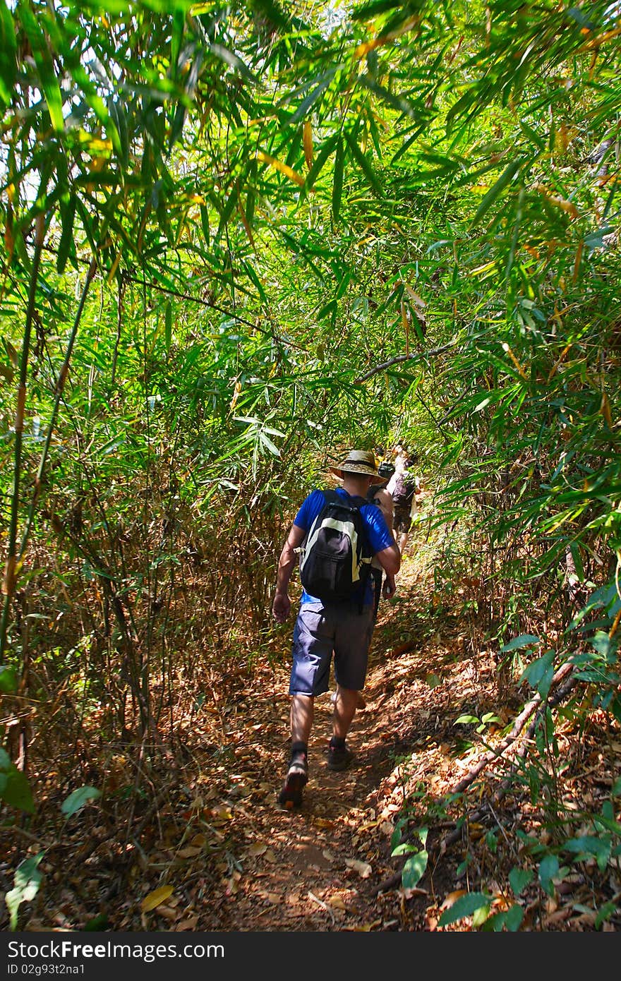 Hiking in mountains. Jungles in Thailand