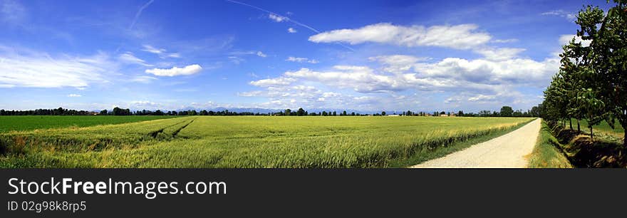 Stitched Panorama of country landscape