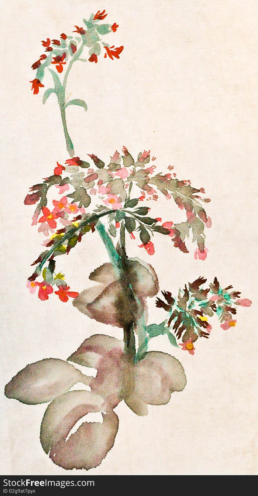 Traditional Chinese painting of  flower blossoming