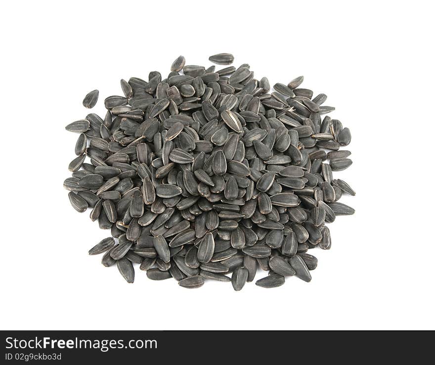 Sunflower Seeds