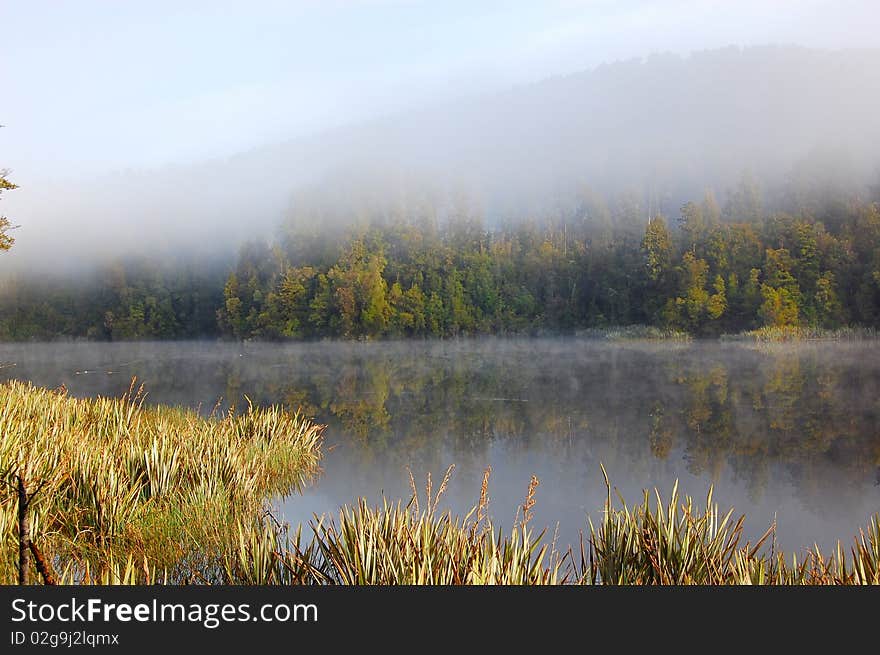 Misty morning