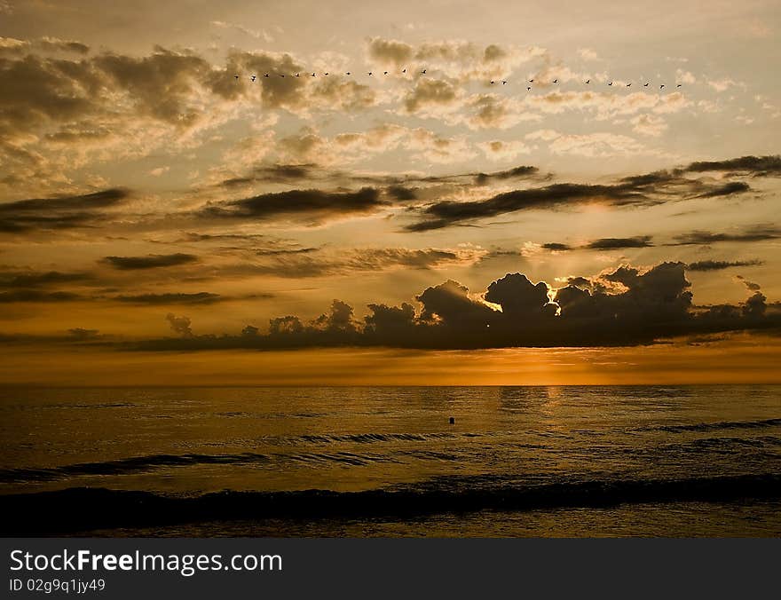 Sunset With Flying Cormorants