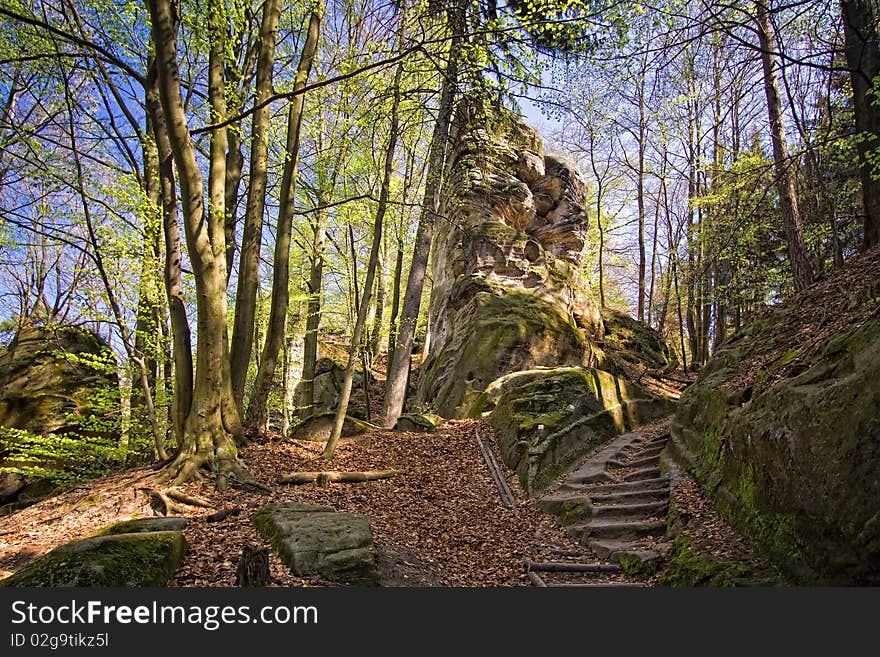 Rock And Stair In Wood