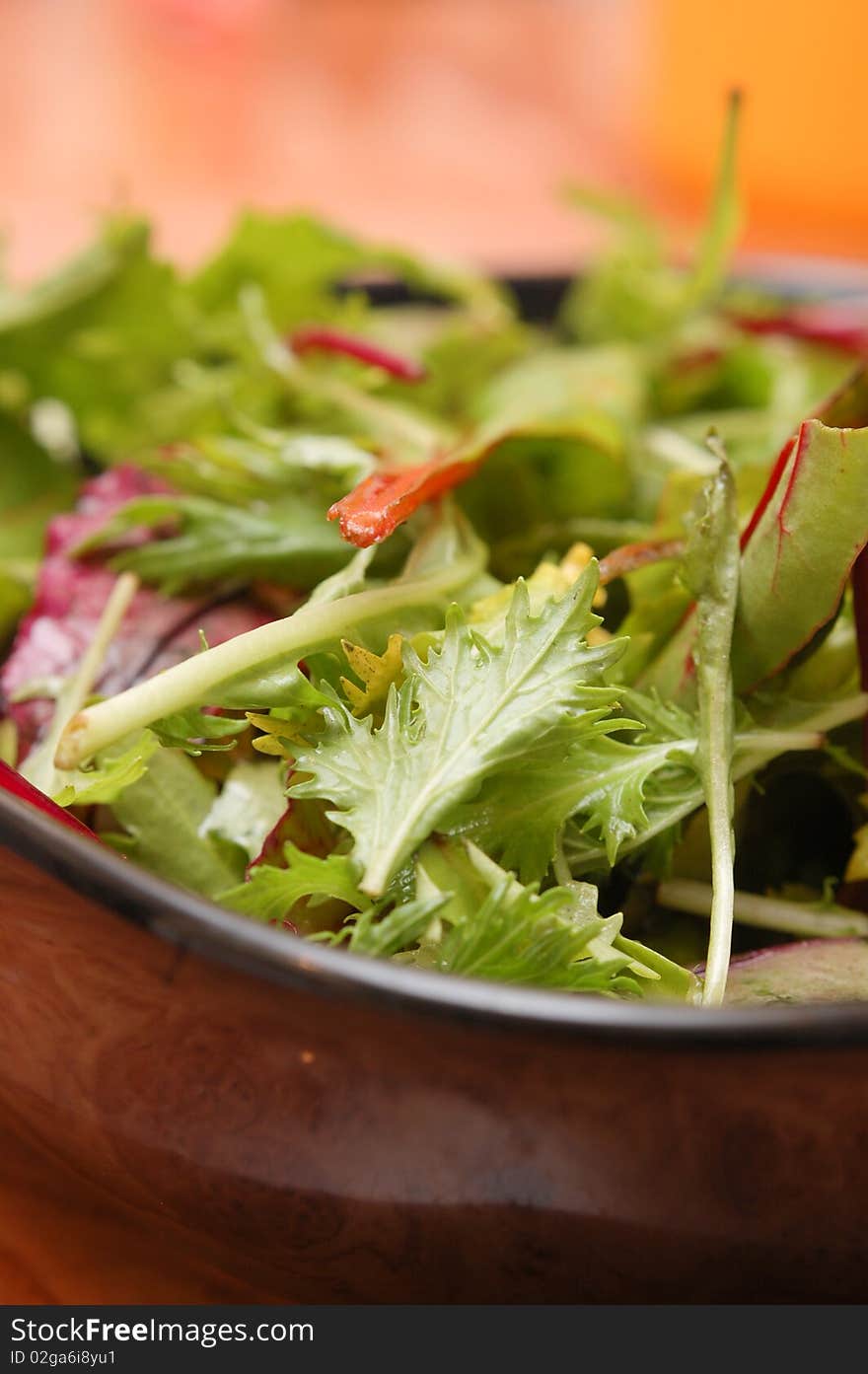 Fresh rocket leaves salad