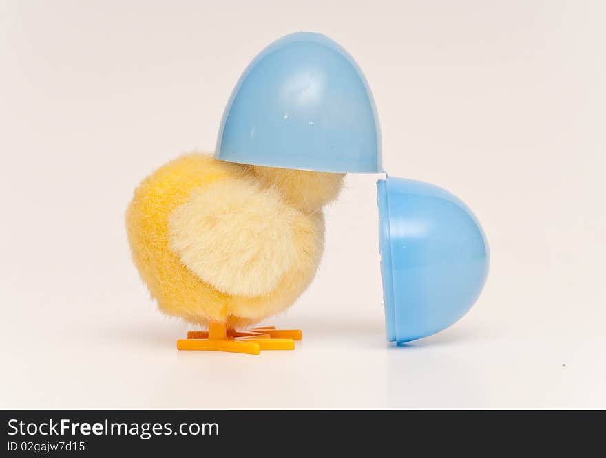 Easter Toy Chick with Head in Half a Plastic Blue Egg on White. Easter Toy Chick with Head in Half a Plastic Blue Egg on White