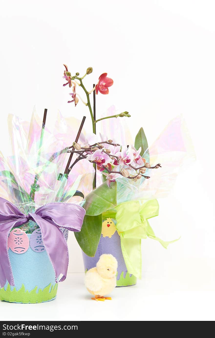 Two Easter Themed Flower Pots with Orchids and a Toy Chick Isolated on White. Two Easter Themed Flower Pots with Orchids and a Toy Chick Isolated on White