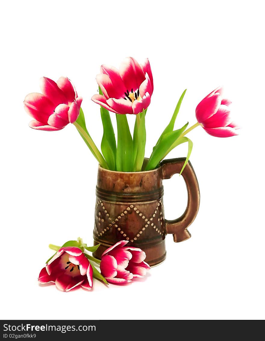 Bouquet Of Tulips In Ceramic Mug Isolated On Whi