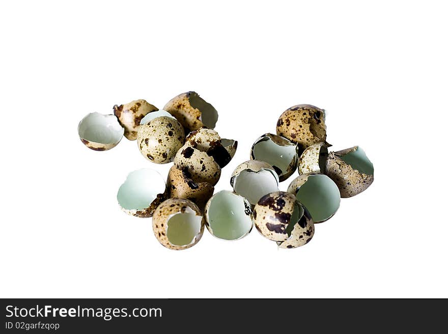 Shell of quail eggs on white background isolated