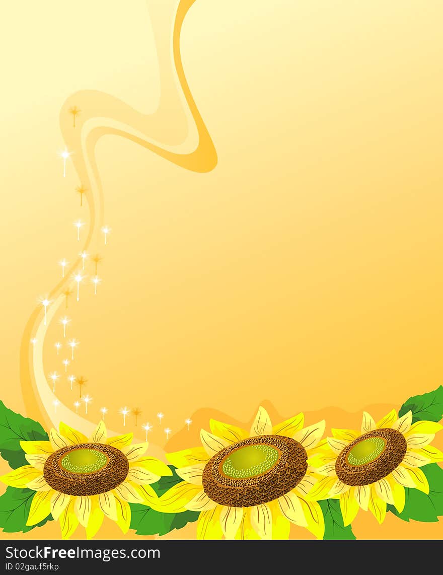 Sunflowers