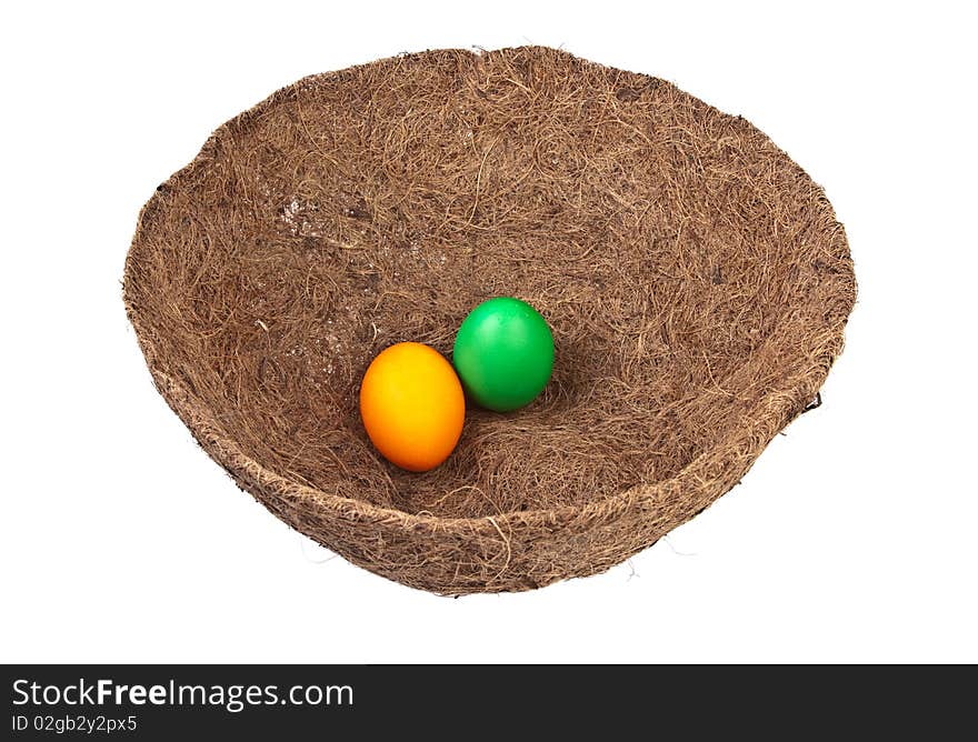 Colores eggs in a nest