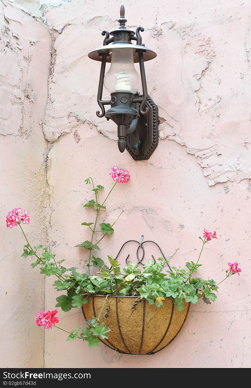 A pot of flower and a light hang on the pink wall. A pot of flower and a light hang on the pink wall