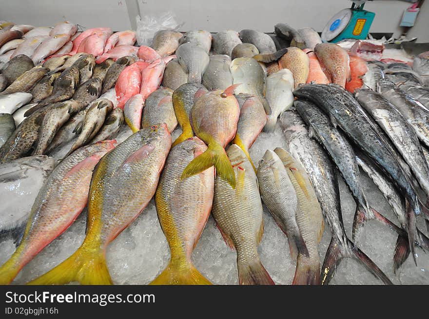 Raw fishes in the market