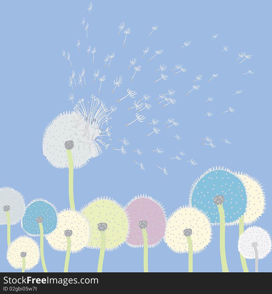 Abstract dandelions