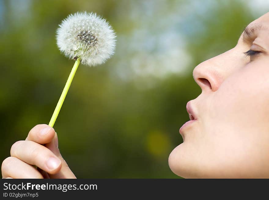 Young woman holding a dandelion. Young woman holding a dandelion