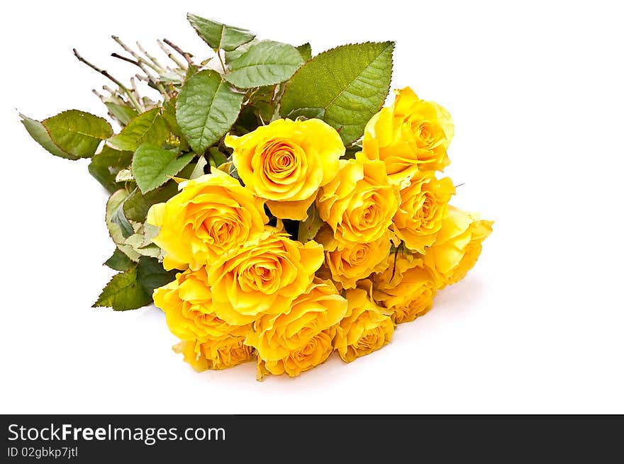 Bunch of yellow roses on white background. Bunch of yellow roses on white background