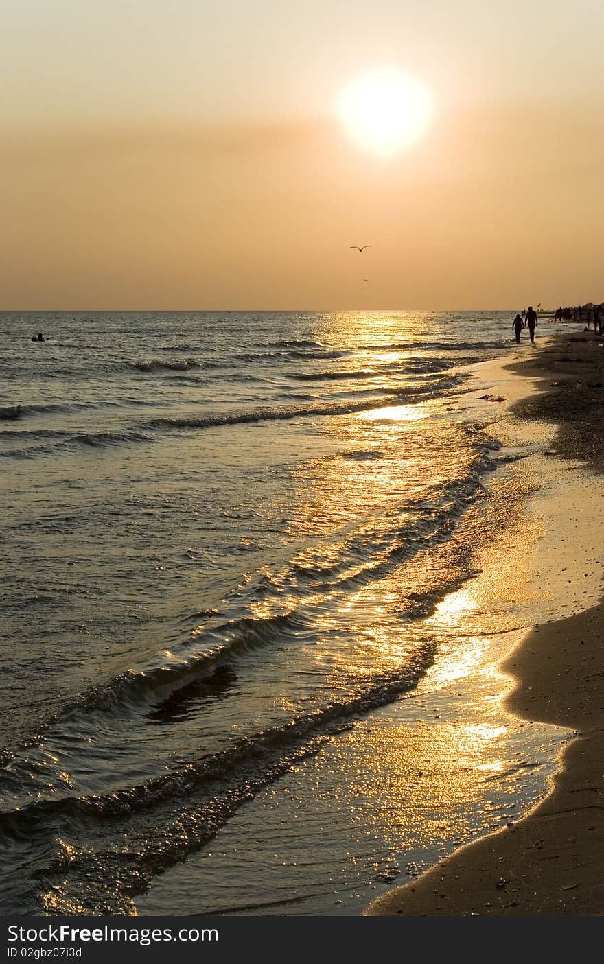 Sunset scene on the sea