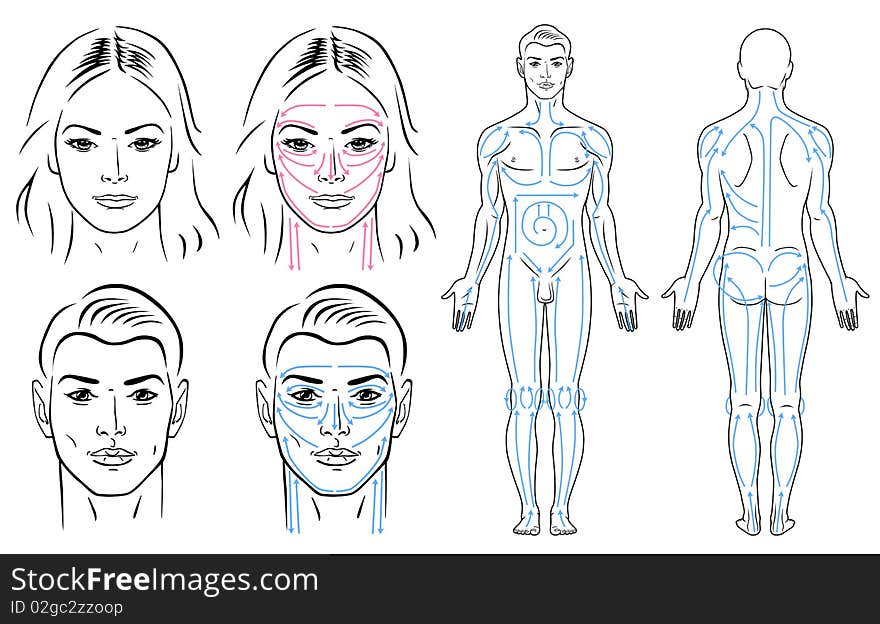 Facial And Body Massaging Lines For Man And Woman