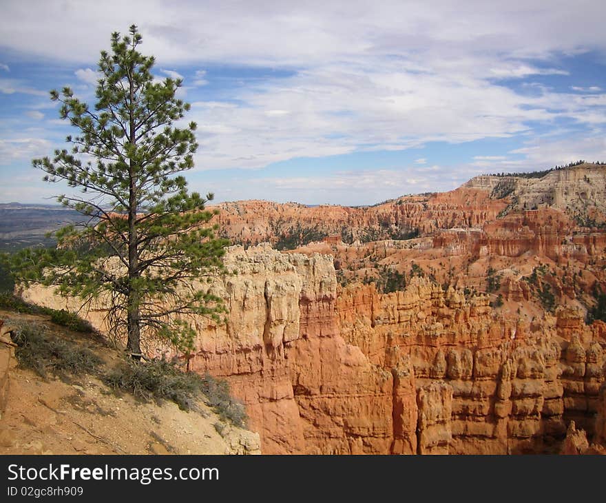 View to the Bryce canyon