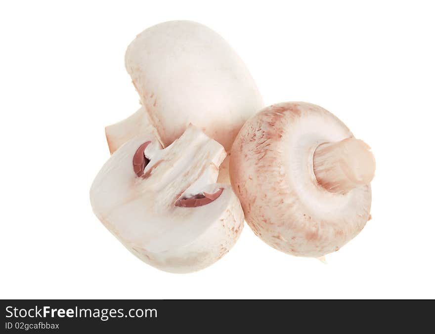 Fresh white champignons