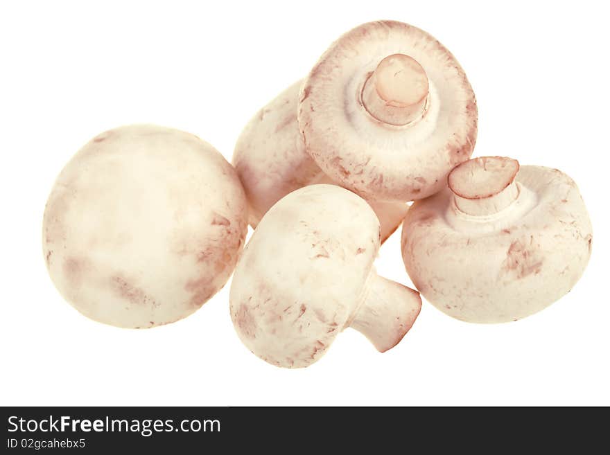 Fresh White Champignons