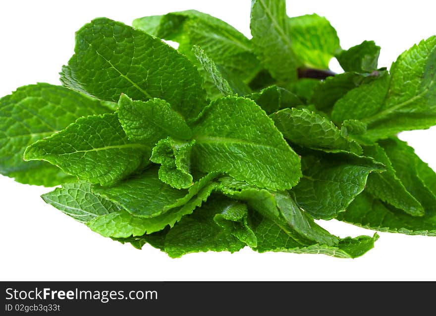 Fresh green mint isolated on white background