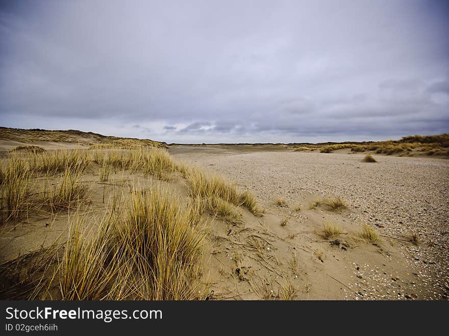 Dunes Of Texel