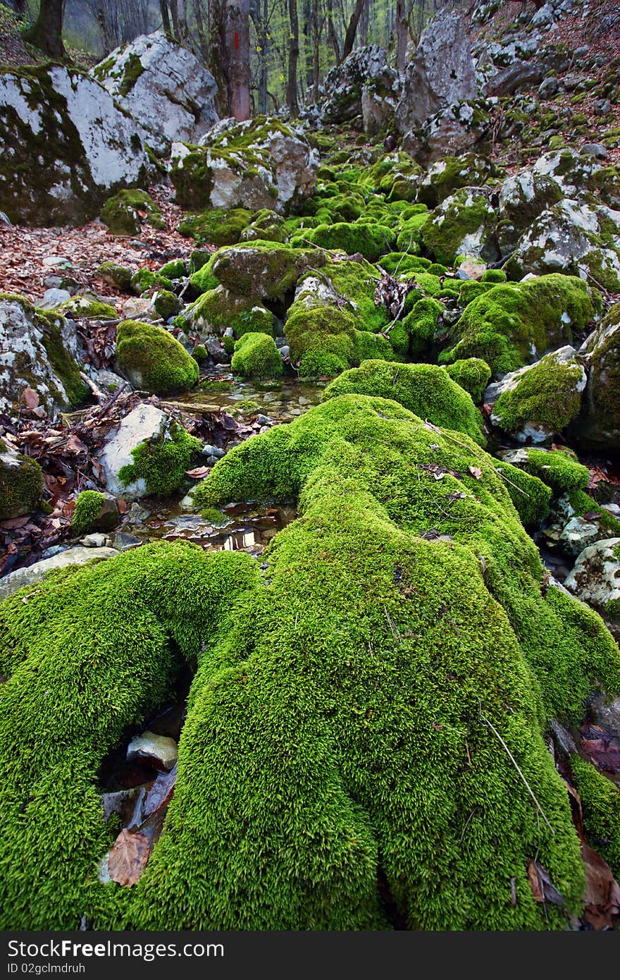 Mountain landscape