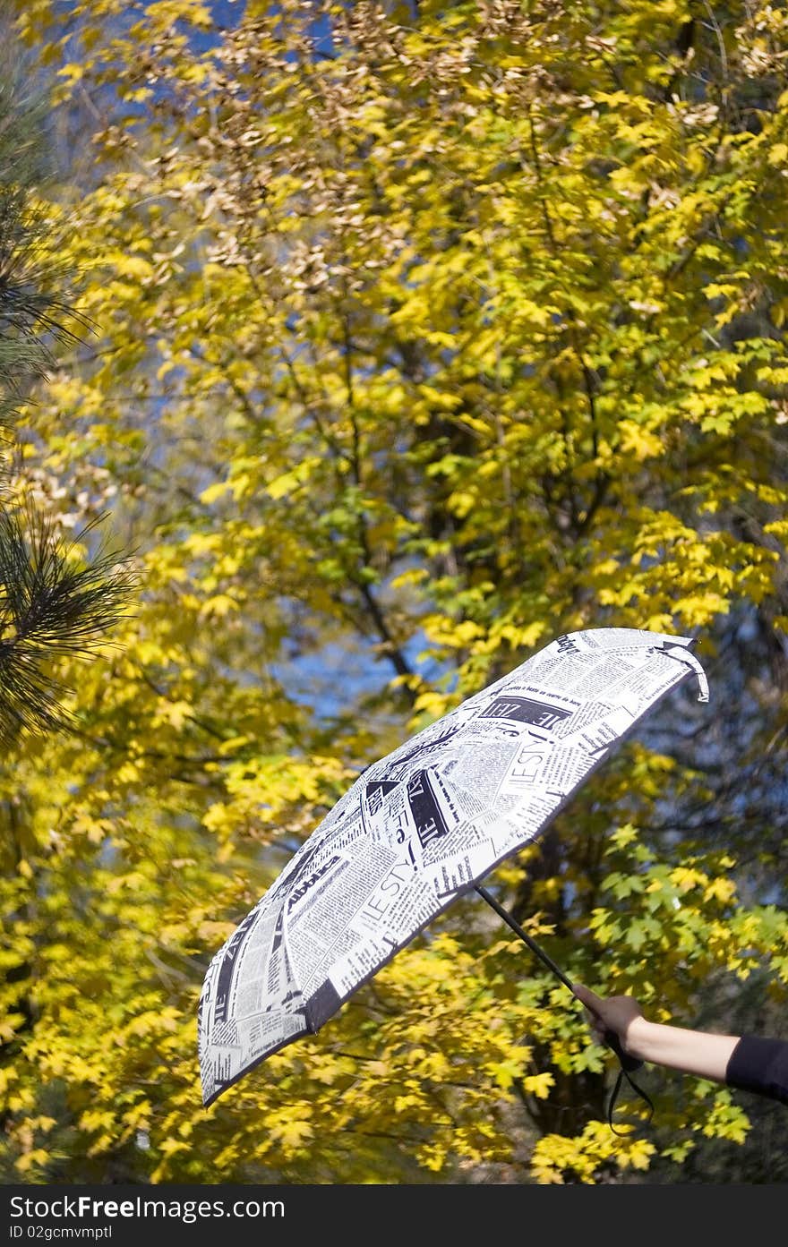 Umbrella and autumn leaves on background