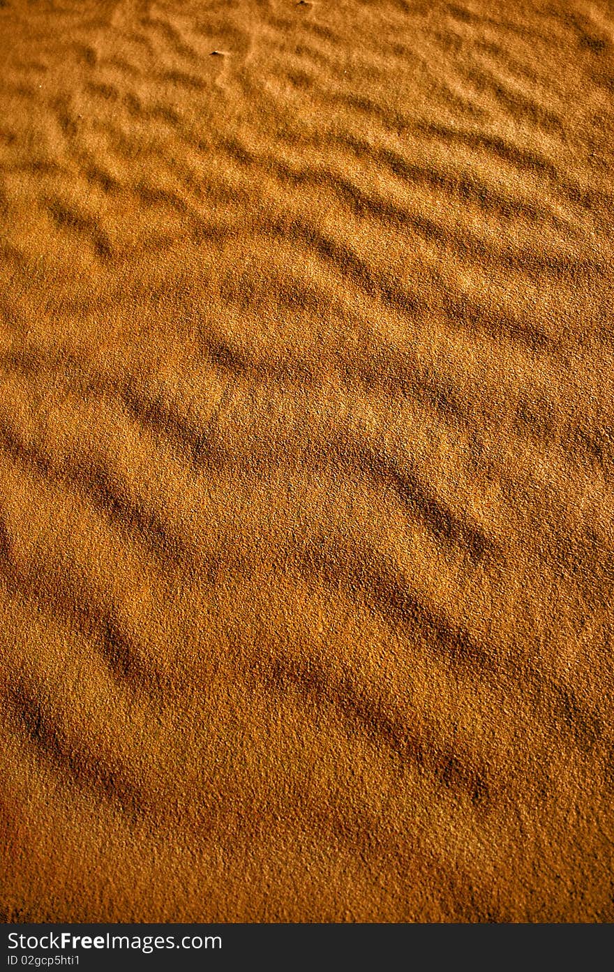 Sand detail structure of Sahara desert. Sand detail structure of Sahara desert