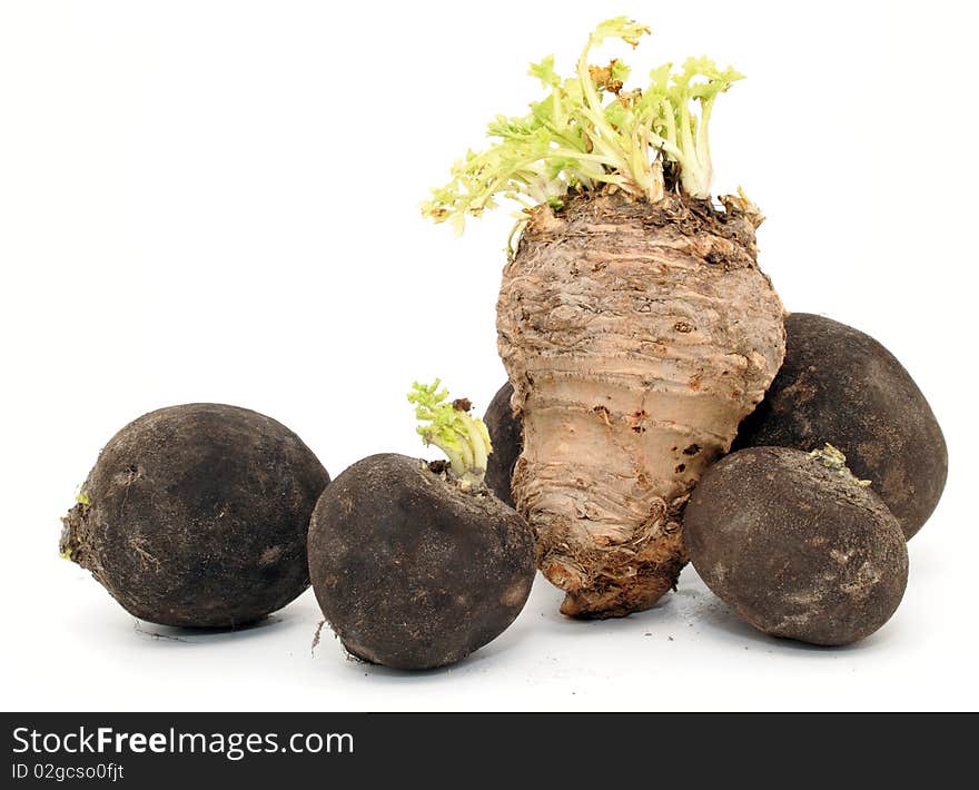 Celeriac And Black Radishes