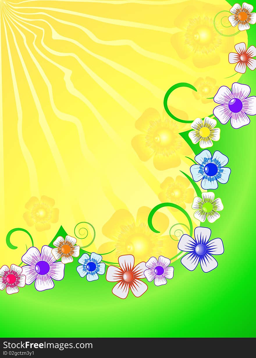 Bright, colorful background with wild flowers. Bright, colorful background with wild flowers