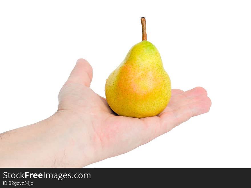 On hand is an  pear, isolated on white background. On hand is an  pear, isolated on white background.