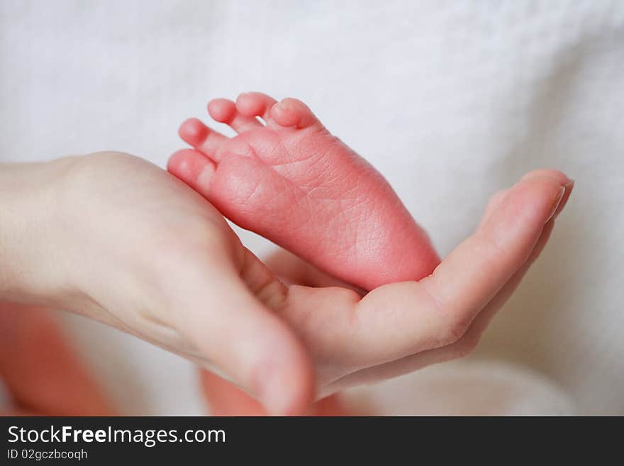 Adorable newborn baby feet