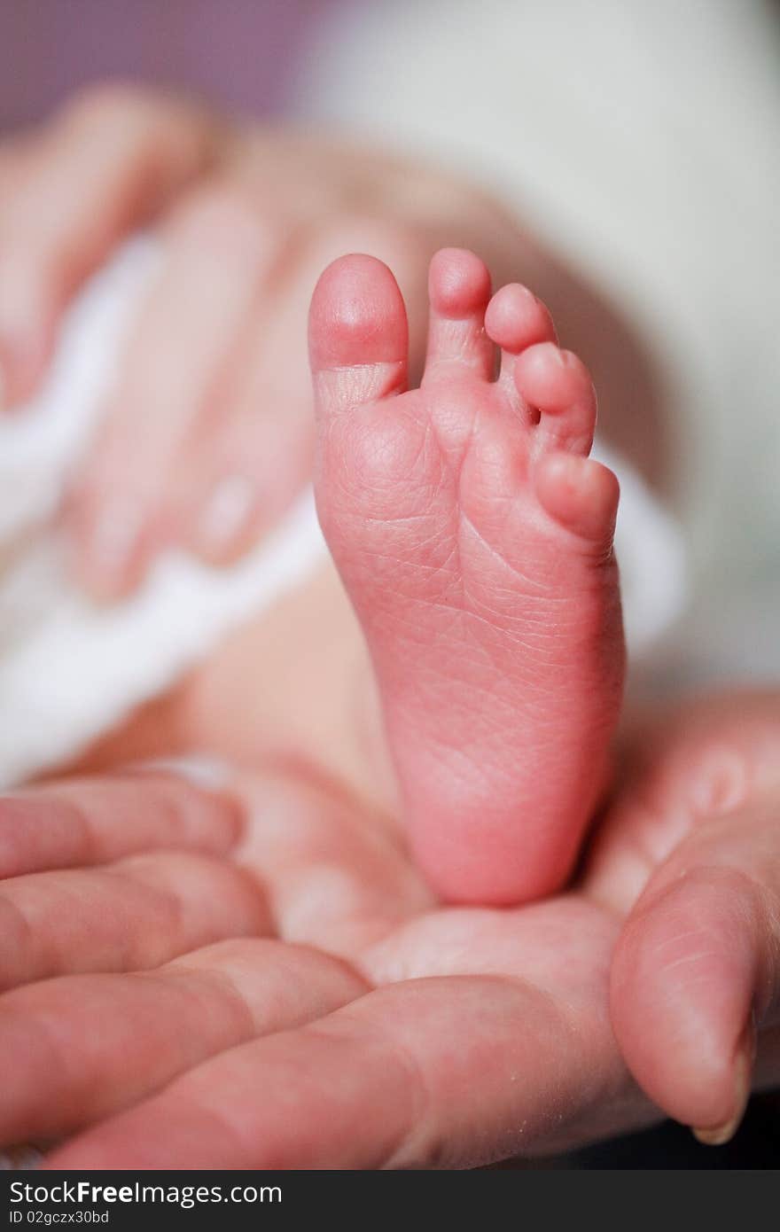 Adorable newborn baby feet