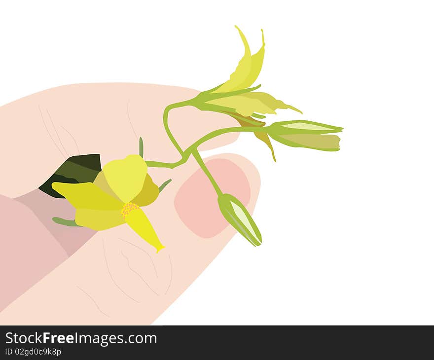 Human hand with yellow flower