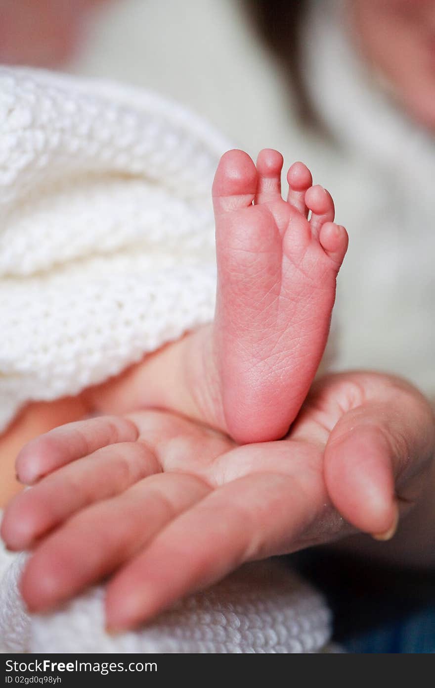 Adorable newborn baby feet