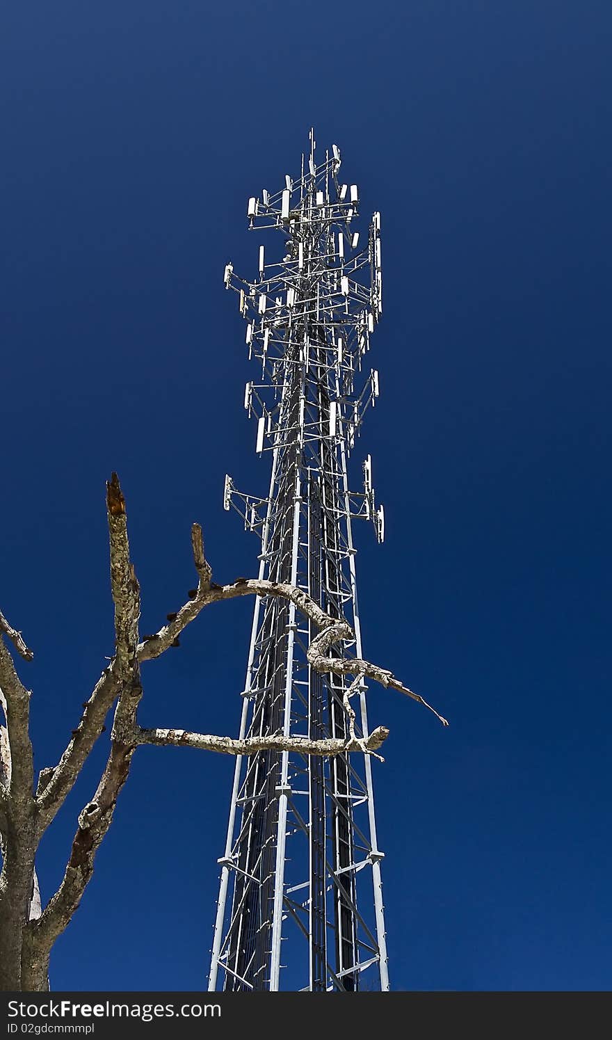 Antennas on communication tower against a blue sky with dead tree in the front.