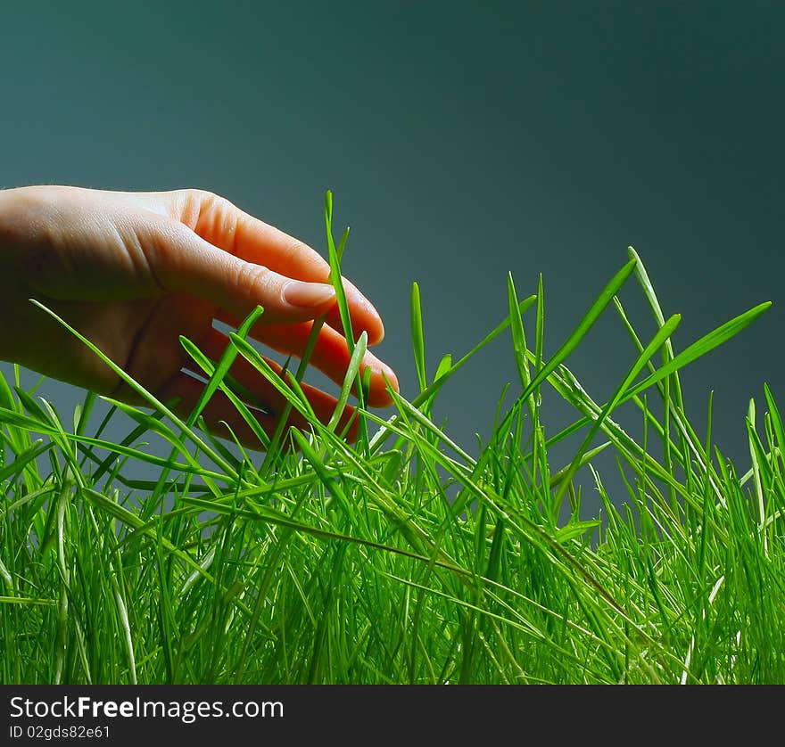 Hand and wet green grass over gray background