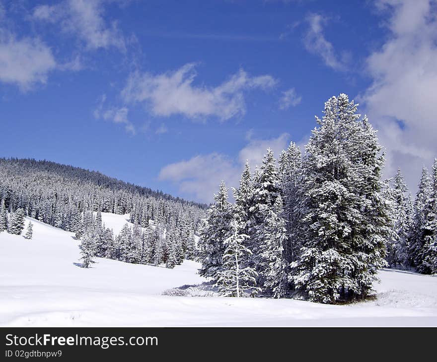 Snowy hillside