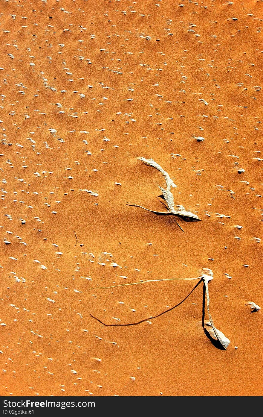 Structure of sand dune in Sahara desert. Structure of sand dune in Sahara desert