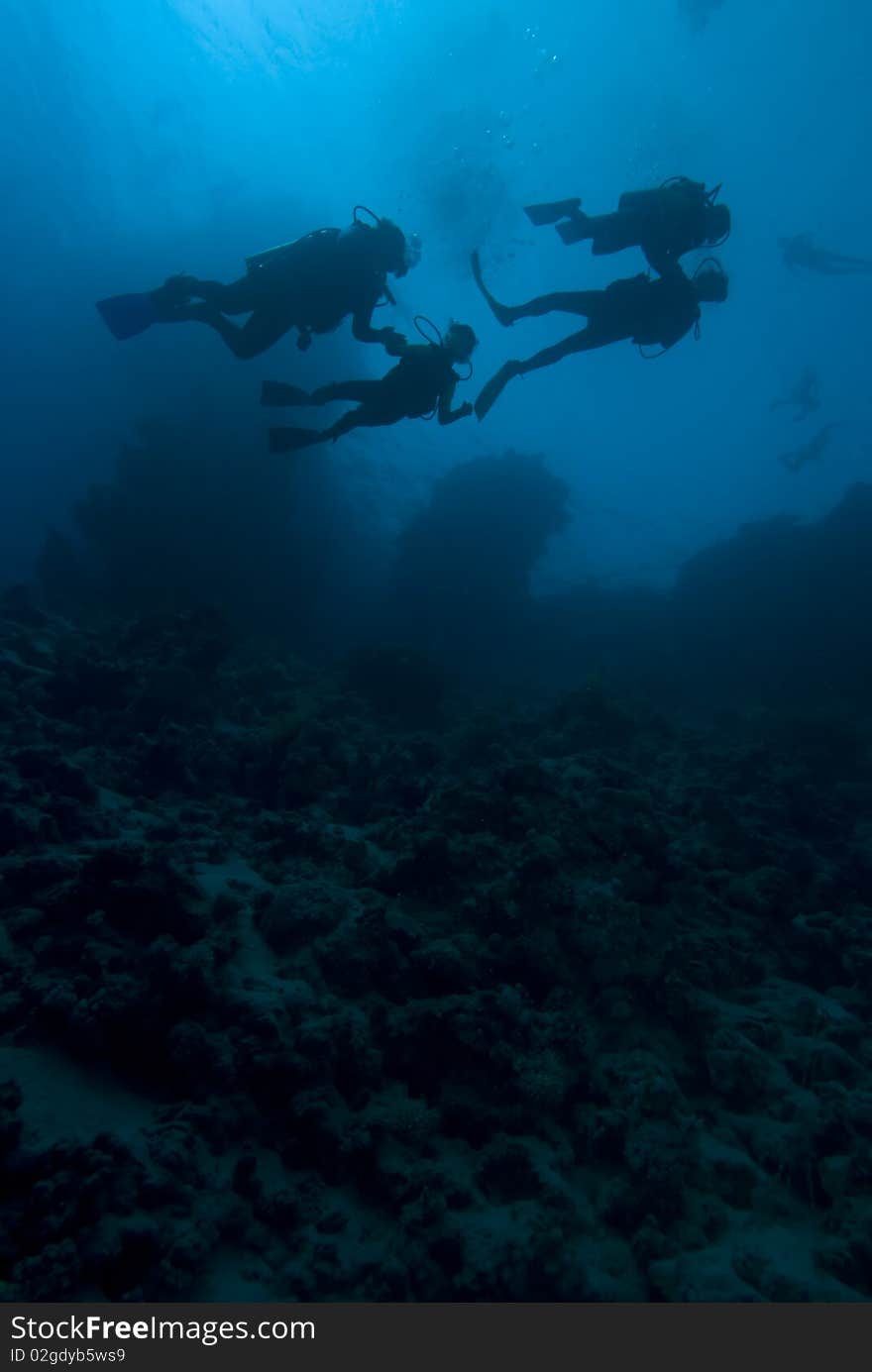 Silhouette shot of a four people scuba diving. Silhouette shot of a four people scuba diving