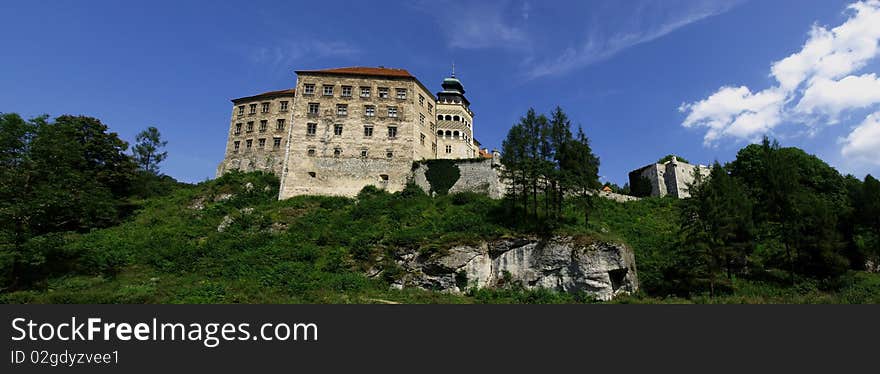 The polish old castle - summer.