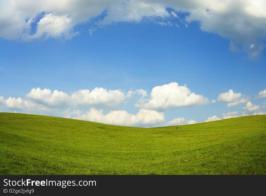 Summer landscape, green grass and blue sky