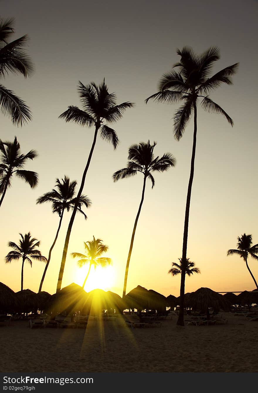 Beautiful sea sunrise on tropical beach resort,silhouette of palm trees, palapas and beach bed