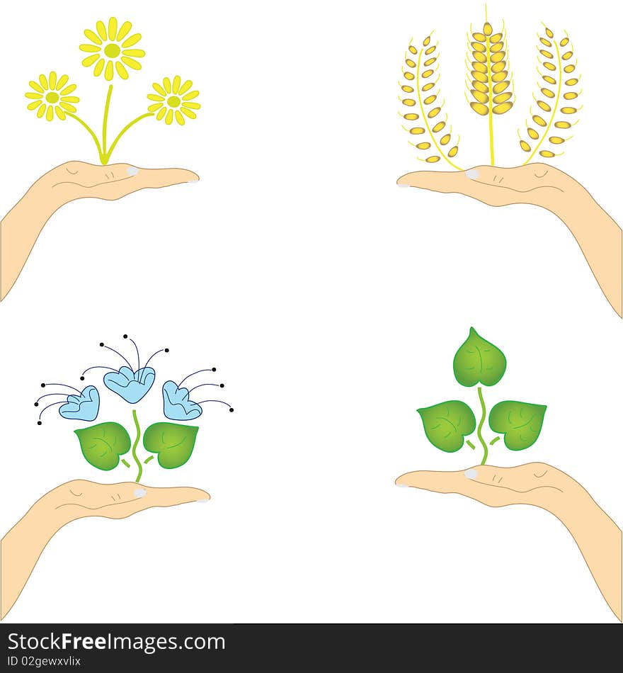 Set of cards with hand and plant