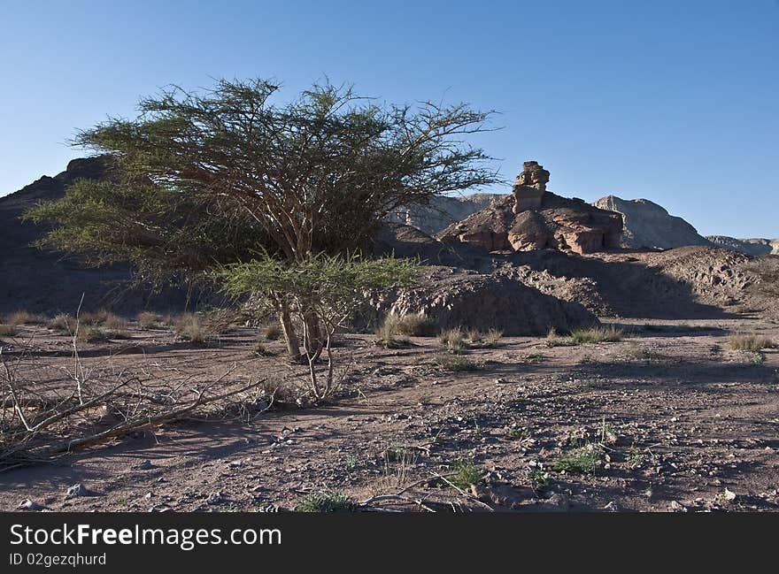 Spiral Hill At Timna Park