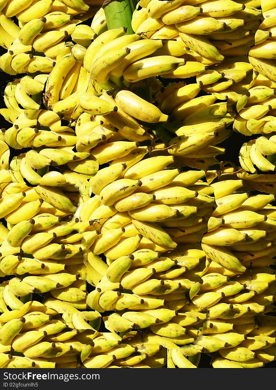 Banana Background