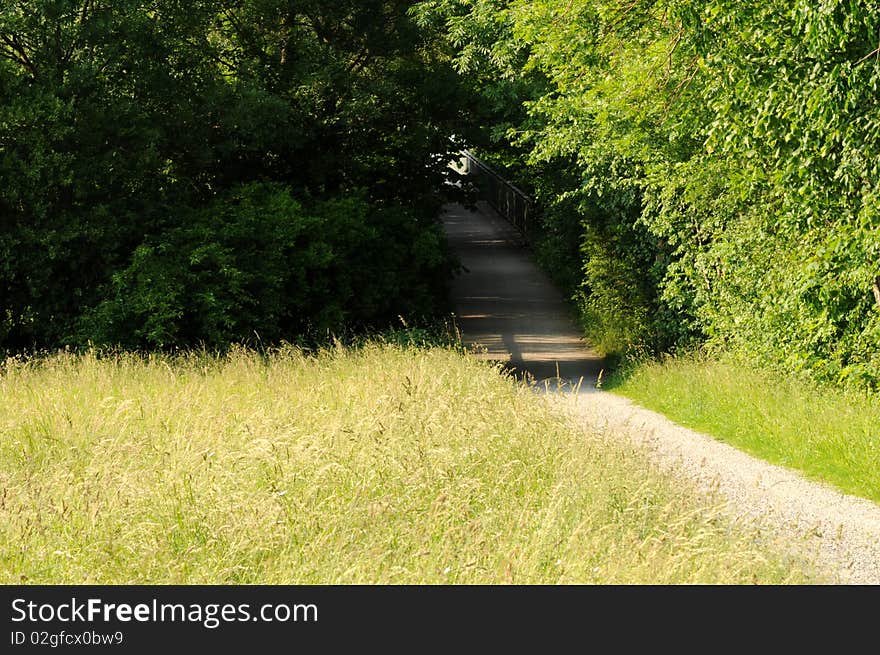 A way between meadows and the forest. A way between meadows and the forest.